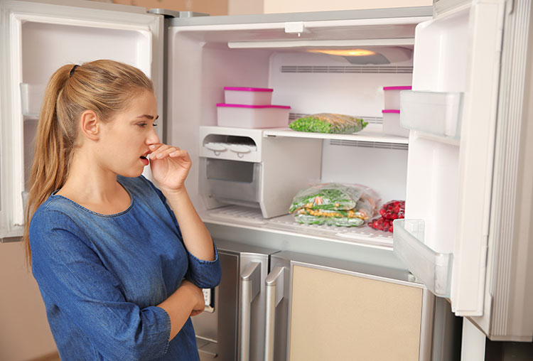 راهکارهای از بین بردن بوی بد یخچال